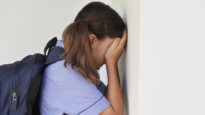¿Cuáles son los tipos de violencia escolar?