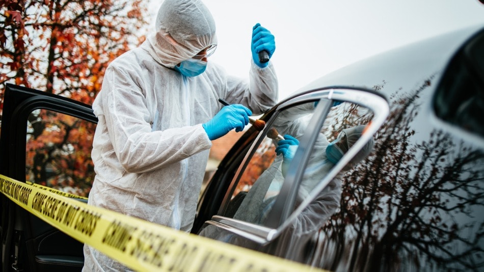 ¿En qué trabaja un criminólogo y en qué se diferencia del criminalista?