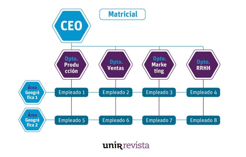 matricial